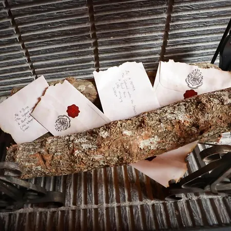 Harry Potter - Gameroom- Experience Magique A Appartement Carcassonne