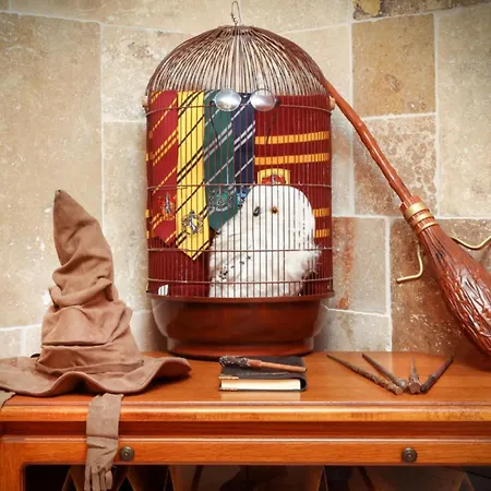 Harry Potter - Gameroom- Experience Magique A Appartement